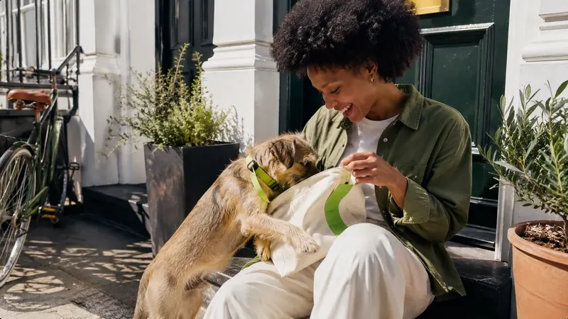 A puppy reaching up to its owner on a sunny doorstep