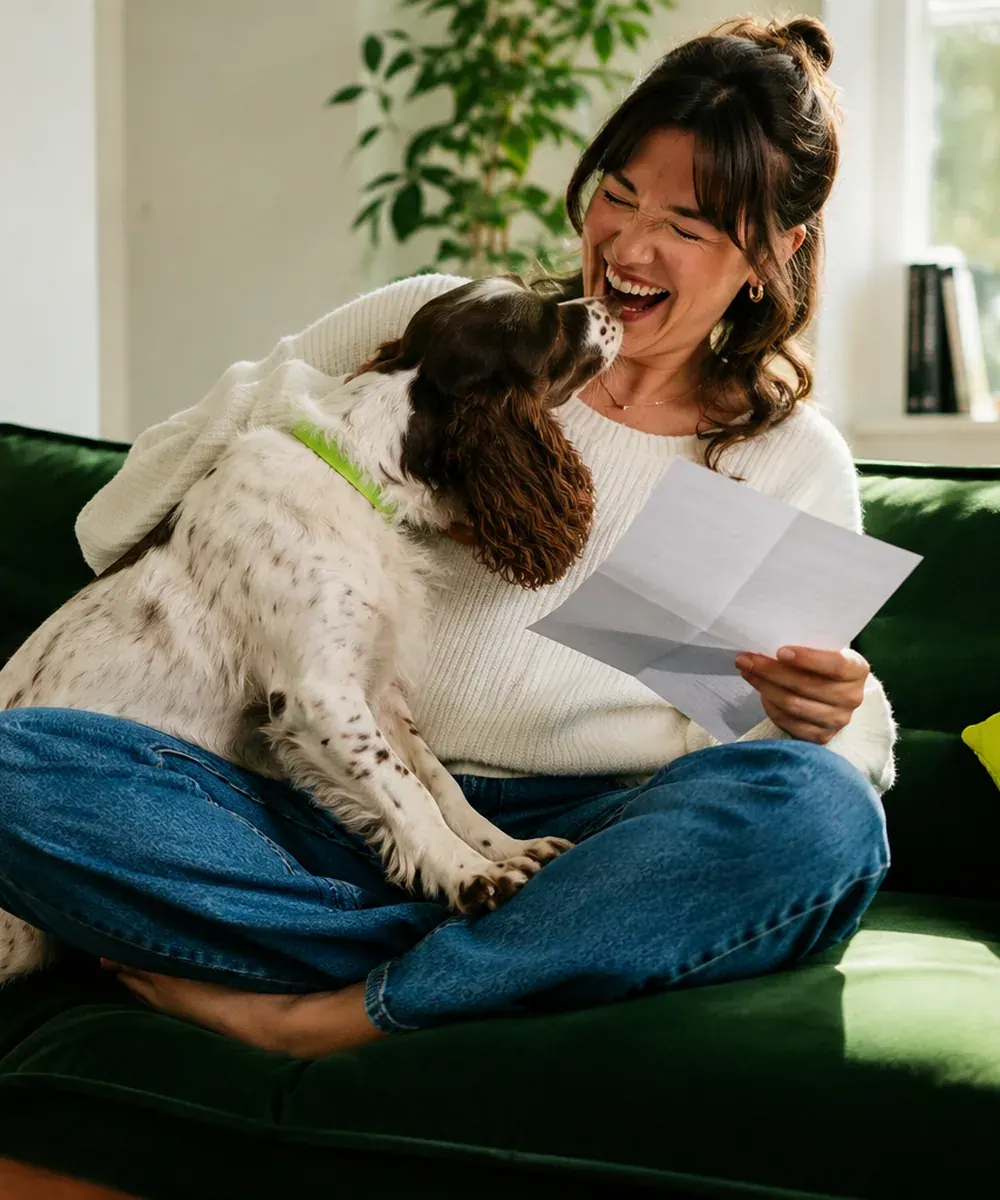 A woman laughing with her alert springer spaniel on a sofa